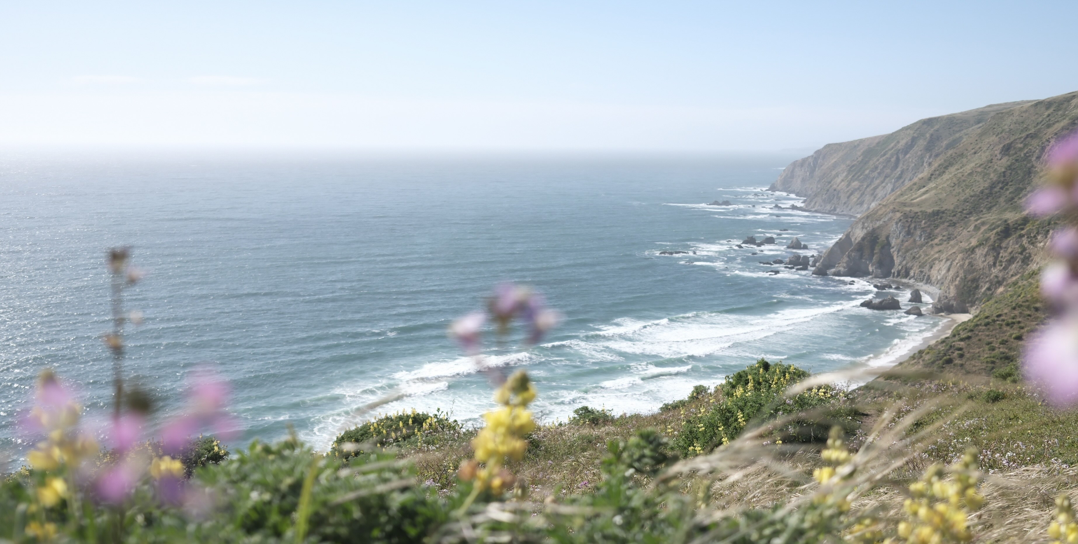 Understanding Length Dynamics in RL Training