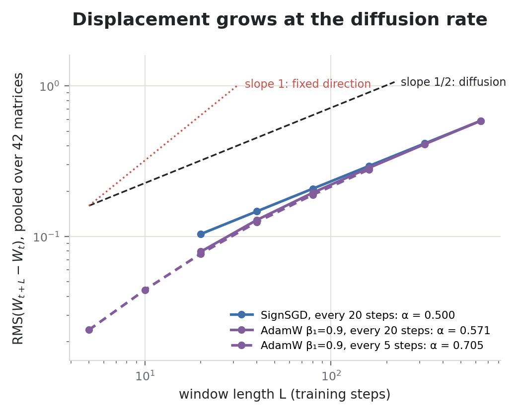 Displacement against window length on log axes: SignSGD follows slope 1/2; AdamW is steeper over short windows and bends toward slope 1/2 over longer ones.